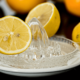 Les Fins Gourmets_Actualités_Mayonnaise_citron_Viande blanche