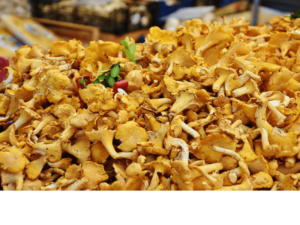 les fins gourmets traiteurs - mousse de chanterelles